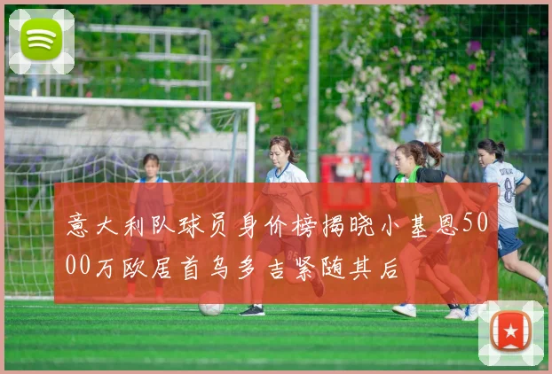 意大利队球员身价榜揭晓小基恩5000万欧居首乌多吉紧随其后