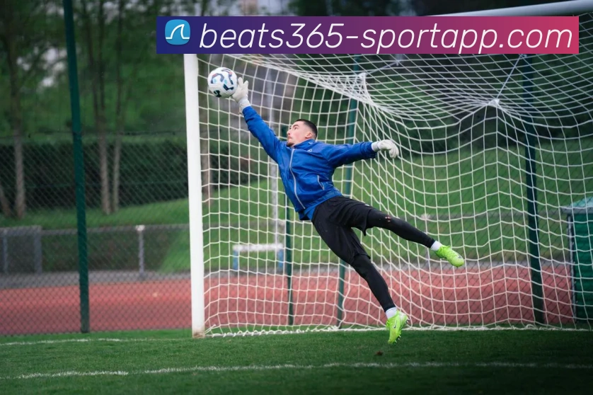 beats365体育APP 封面图